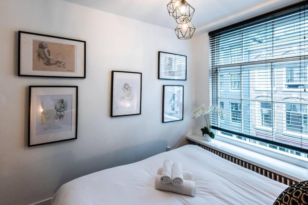 Luxurious Boutique Suite In City Center 阿姆斯特丹 外观 照片